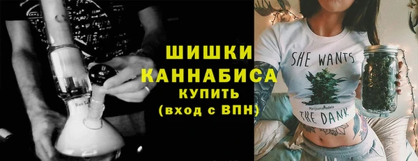 шишки Ельня