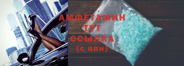 шишки Ельня