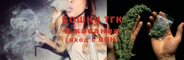 ешки Елабуга