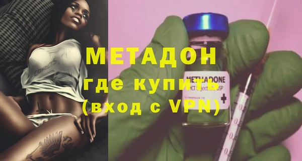 шишки Ельня