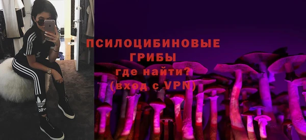 ешки Елабуга