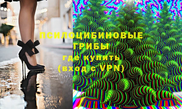 ешки Елабуга