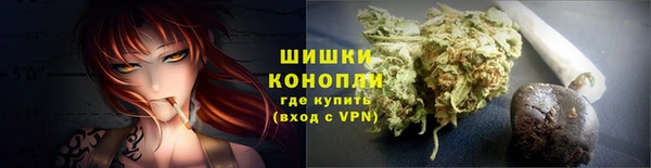амф Елизово