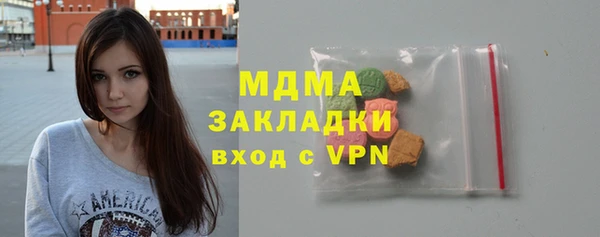 шишки Ельня