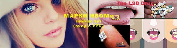 шишки Ельня