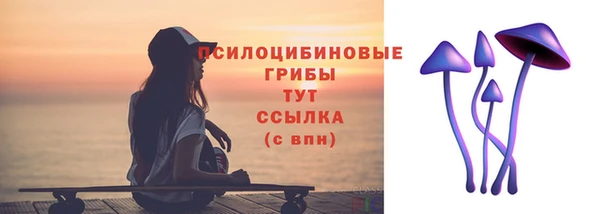 шишки Ельня