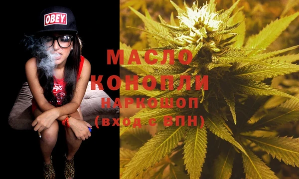 шишки Ельня