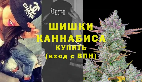 шишки Ельня
