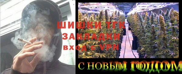 шишки Ельня