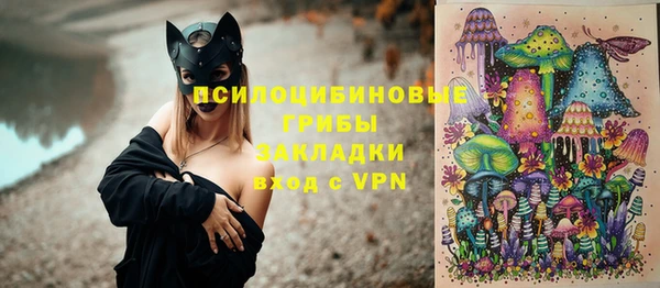 шишки Ельня