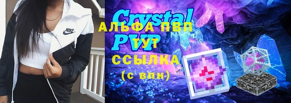 амф Елизово