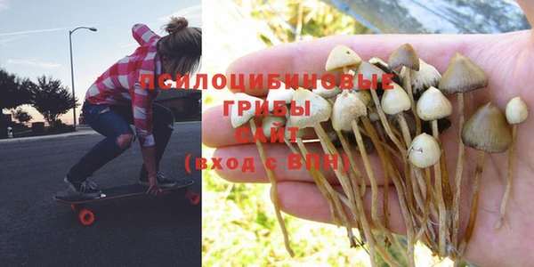 ешки Елабуга