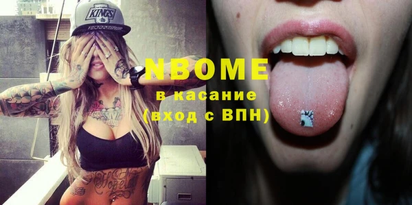 шишки Ельня