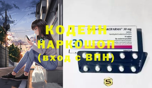 шишки Ельня