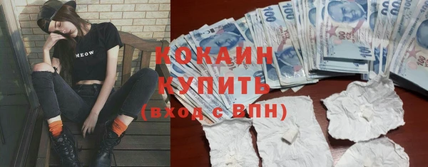 амф Елизово