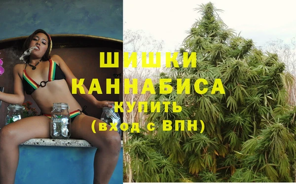 шишки Ельня