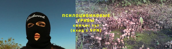 амф Елизово