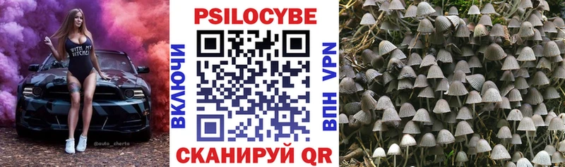 Псилоцибиновые грибы ЛСД  blacksprut вход  Ясный 