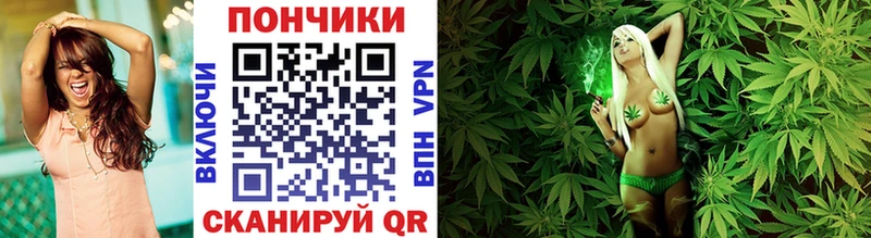 Каннабис Amnesia  Ясный 